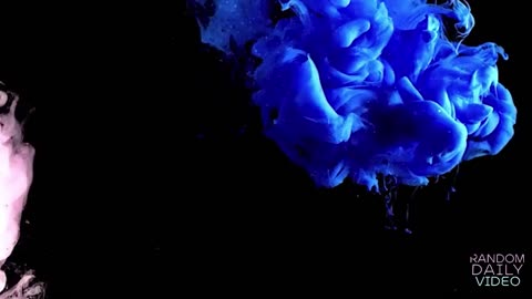 LIVE RANDOM DAILY MUSIC RDM