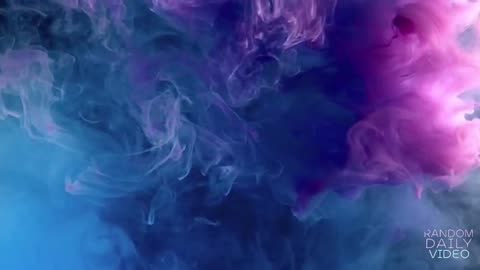 LIVE RANDOM DAILY MUSIC RDM