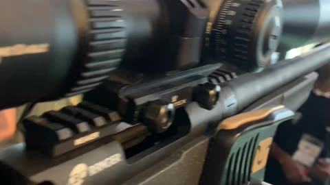Vortex scope in a Taurus Ranger