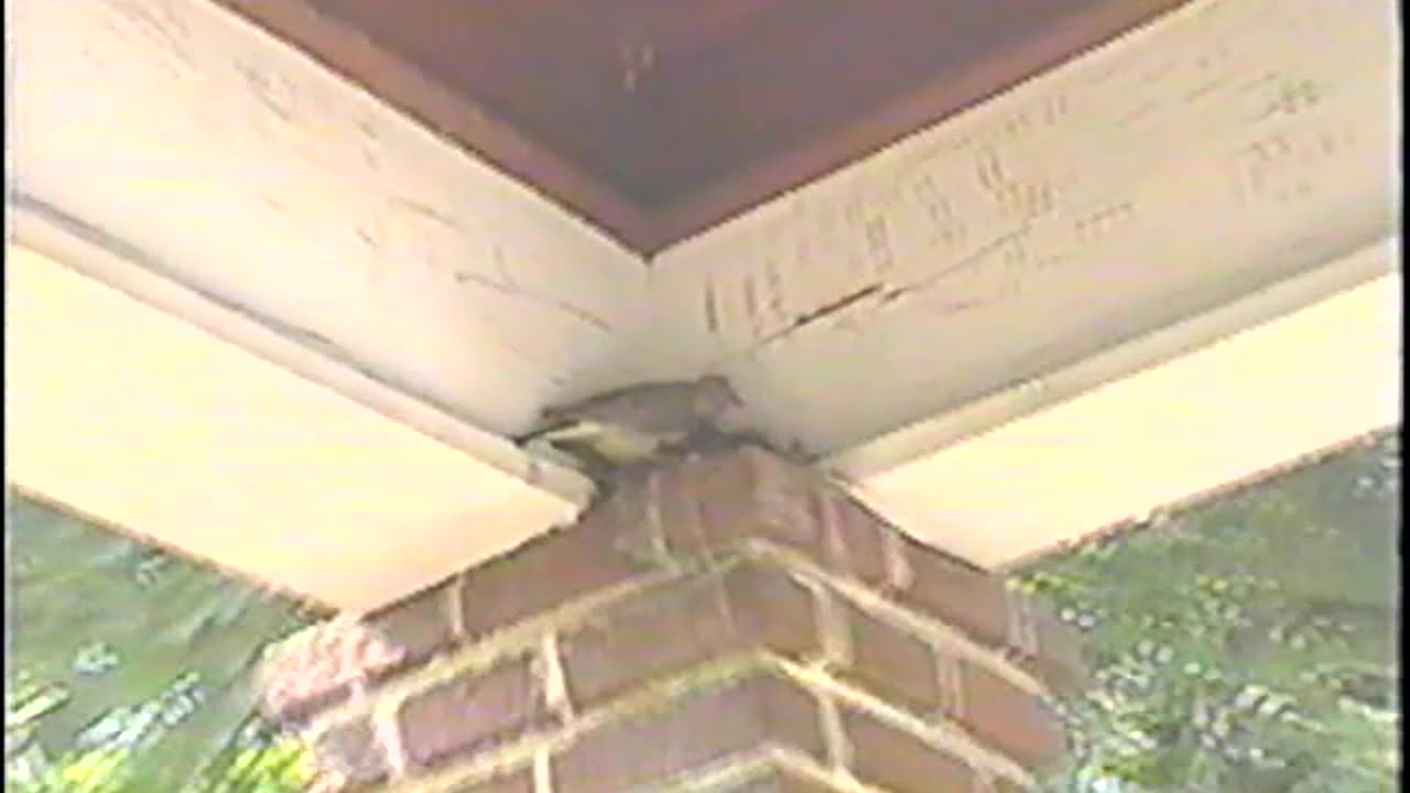 2001-VA-Home-4