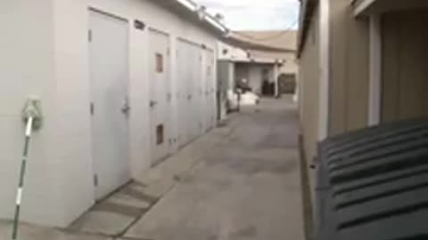 Video shows a Mongoloid woman throwing dog over fence in plastic bag in California
