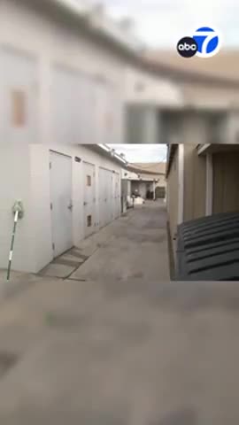 Video shows a Mongoloid woman throwing dog over fence in plastic bag in California