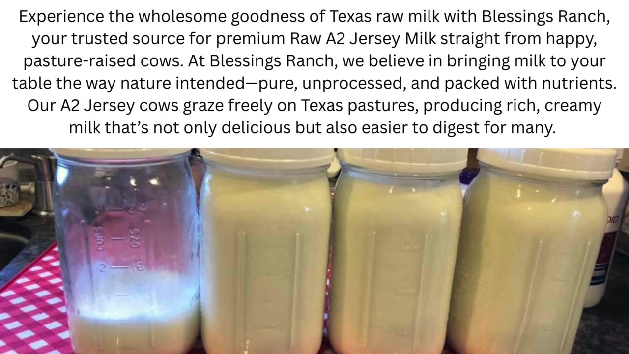 Texas Raw Milk Like Never Before – Pure A2 Jersey Goodness from Blessings Ranch