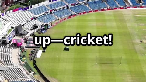 Sports Summary – Latest Highlights, Scores & Top Moments