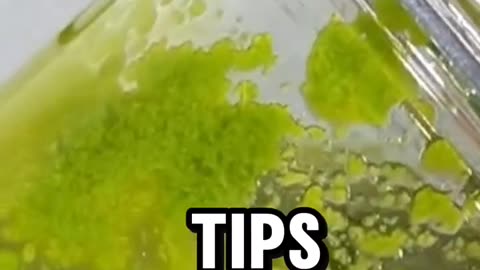 Get Rid of Glasses Naturally Vision Boosting Tips You Need!