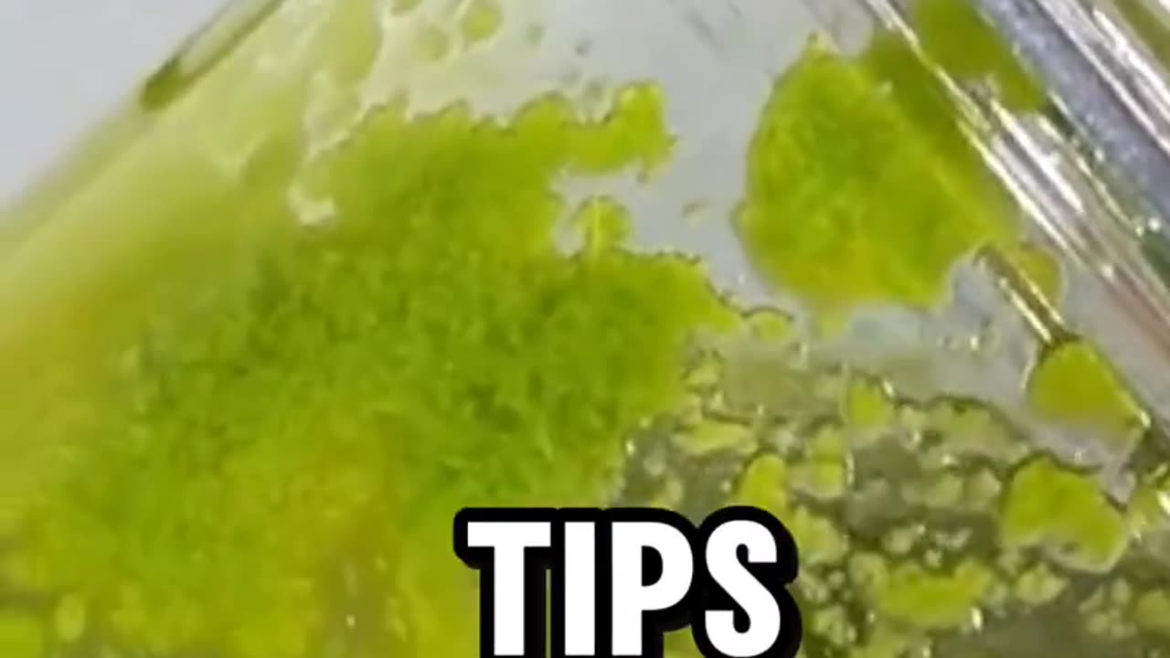 Get Rid of Glasses Naturally Vision Boosting Tips You Need!