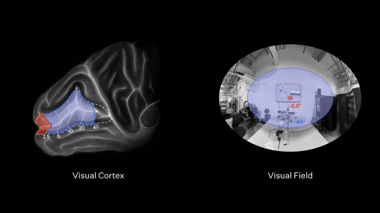Blind Sight Project: How Neuralink Aims to Restore Vision with Brain Implants!