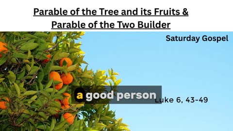 Saturday Gospel: Parable of the Tree and its Fruits & Parable of the Two Builders