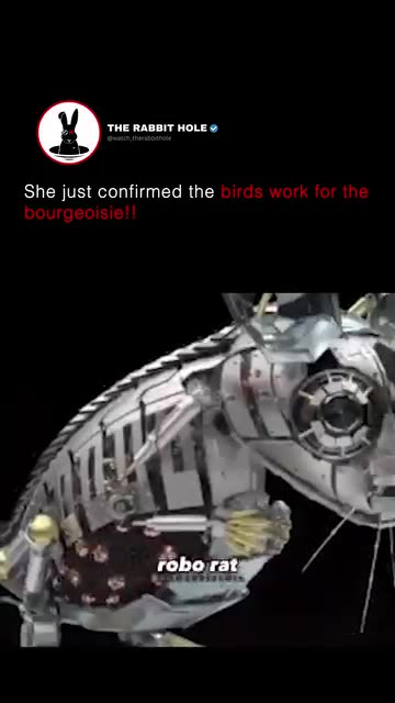 Hybrid animals, birds and insects are real