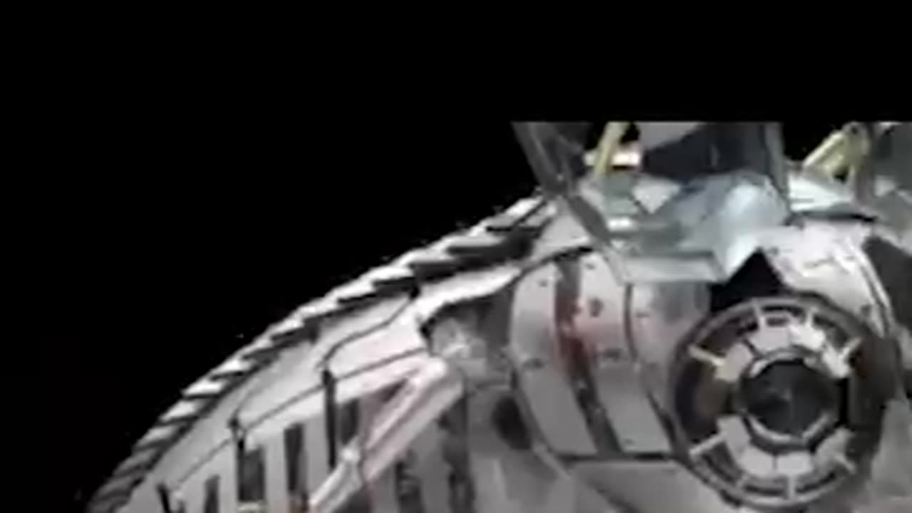 Hybrid animals, birds and insects are real