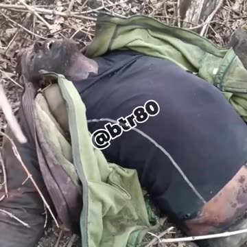 Reconnaissance battalion IRBIS of the CENTER group