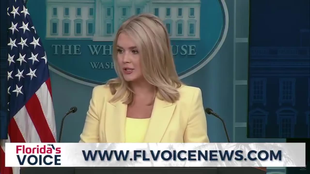 Reporter Asks About 'Clinton Body Count' During WH Press Briefing