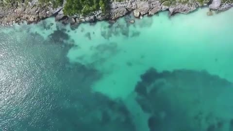 beautiful nature video asamararjoo