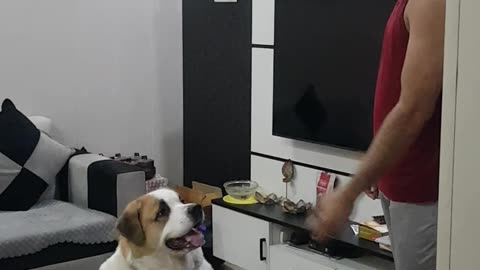 Give me a ball mere bhai