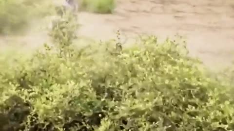 😂🚴‍♂️ You Won't Believe Bike People Riding Into the Sunset! | FunFM