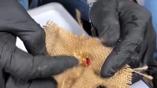 Underwater Safe Discovery!