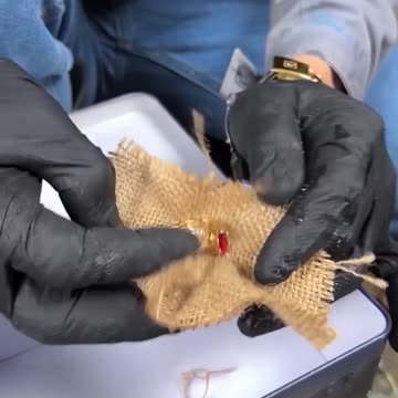 Underwater Safe Discovery!