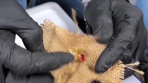 Underwater Safe Discovery!