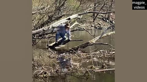 FUNNY video