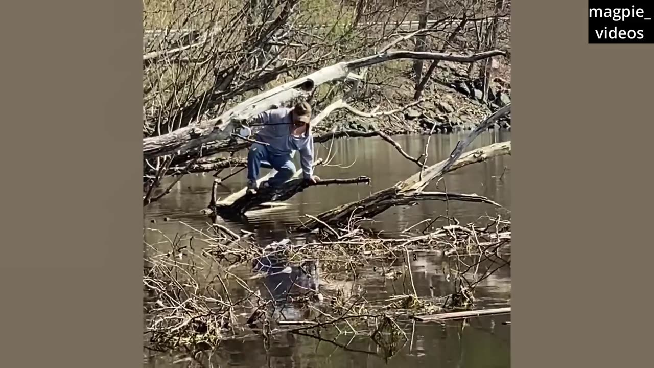 FUNNY video