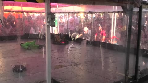 BBB BEVs Bristol 2025: Pizza Time Vs Slaying Mantis