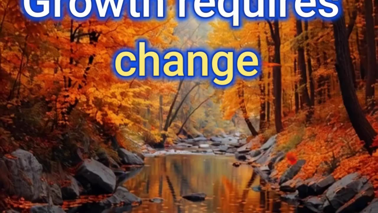 You Are Allowed to Change