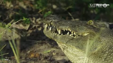 \Sa/nd through the hourglass.....