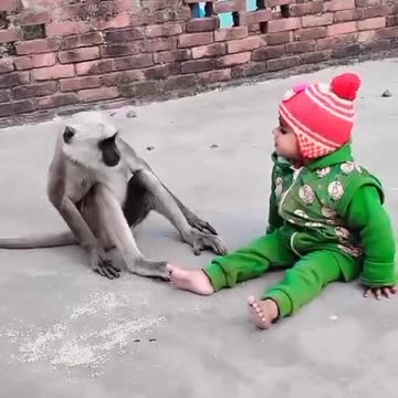 Look at these two, are they the same?