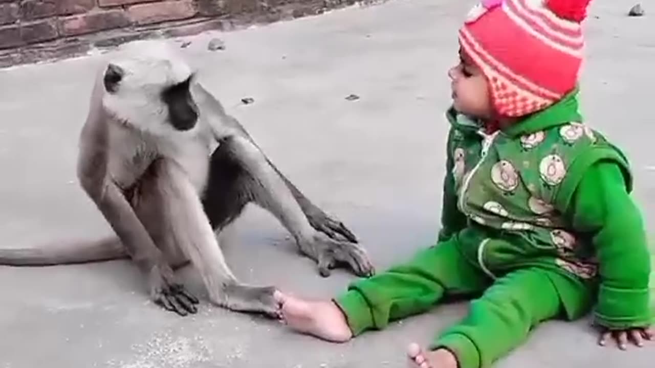 Look at these two, are they the same?