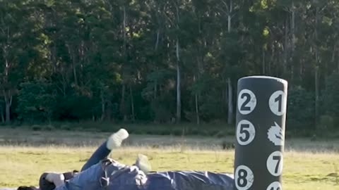 How animals fight