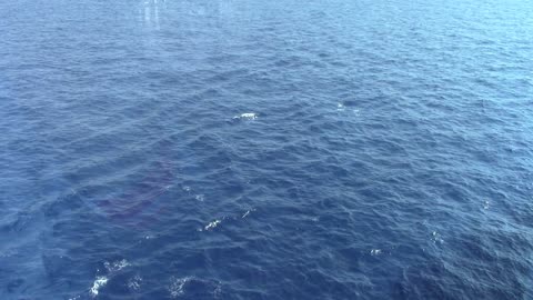 Low Waves on Ocean off Cruise Ship Creative Commons Stock Video