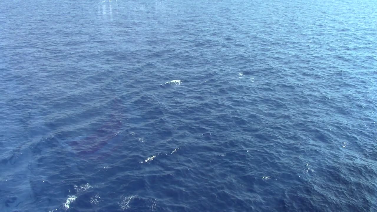 Low Waves on Ocean off Cruise Ship Creative Commons Stock Video