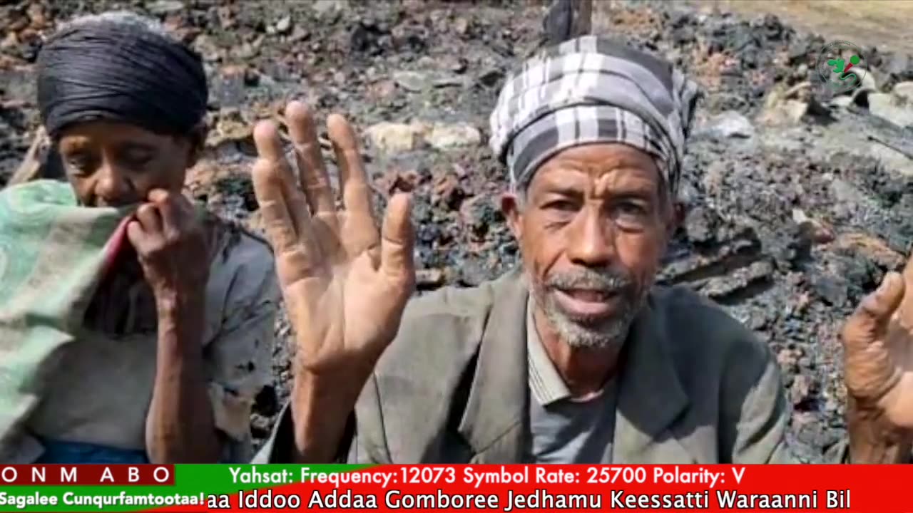 Qophii Addaa ONM-ABO Ebla 7-2025 itti dhiyaadhaa!