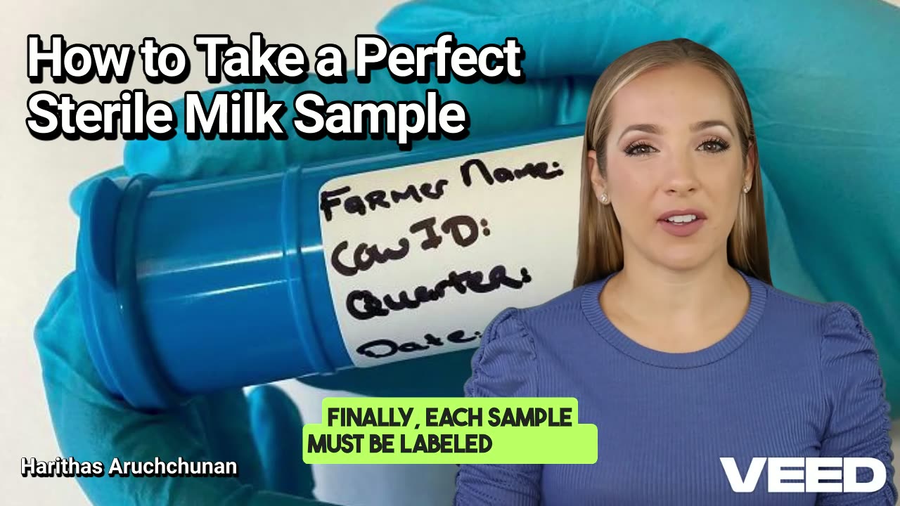 How to Take a Perfect Sterile Milk Sample for Culture and Sensitivity