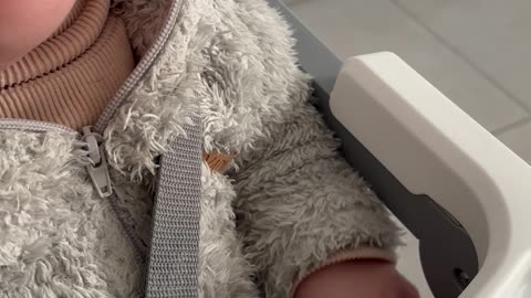 Dog Gently Licks Baby's Leftovers Away