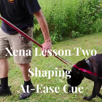 Xena shaping the at ease cue short 1