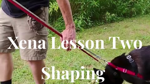 Xena shaping the at ease cue short 1