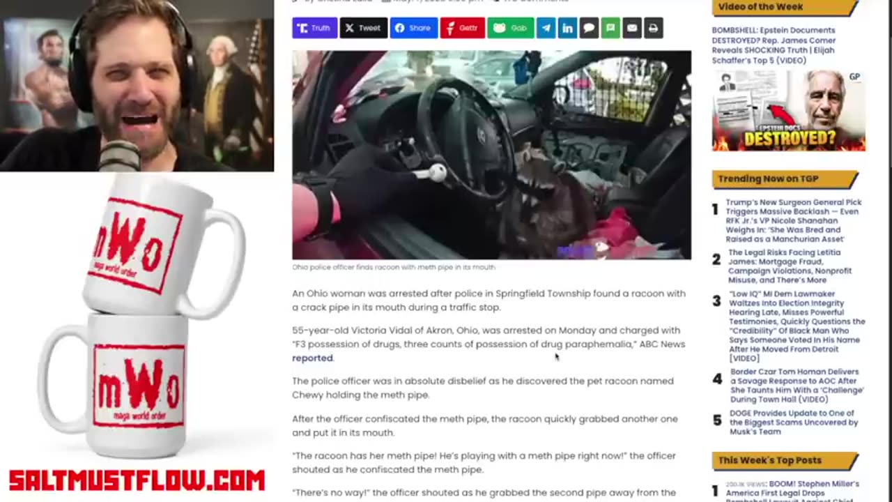 Police Find Pet Raccoon in Car Driver’s Seat With Meth Pipe in it's Mouth