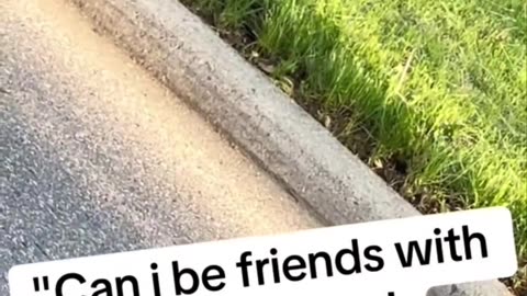 😂🤝 Update from the LARPing Friend Request! | FunFM