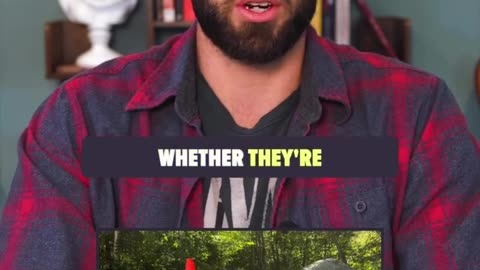 🇨🇦 ⚠️ Nova Scotia Canada is Banning Walking, Hiking and Camping ... Including on Your Own Land - WAKE UP Canada!