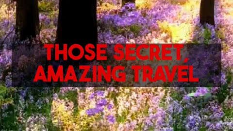 The Big Four of Australia Uncovering Their Glowing Secrets