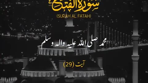Surah Al Fatah Ayat(29) # Tarjma Quran Pak❤️