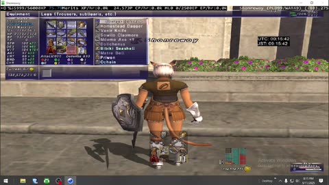 Playing Final Fantasy XI Online