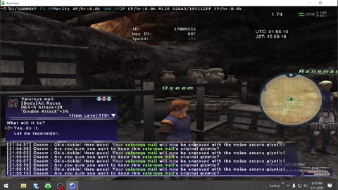 Playing Final Fantasy XI Online