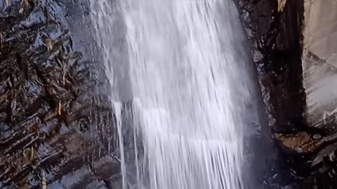 Water fol
