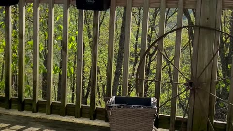 Matthew 24: 15-22, Daniel 12: 11, Joel 2