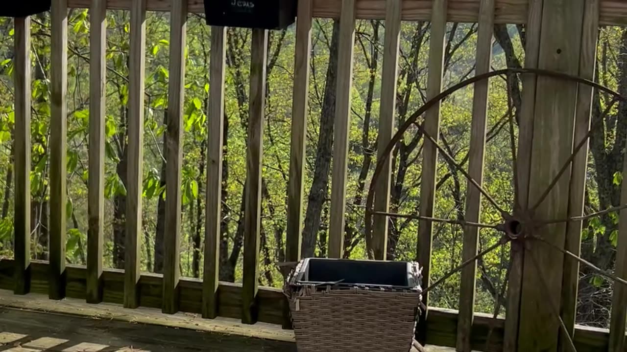 Matthew 24: 15-22, Daniel 12: 11, Joel 2