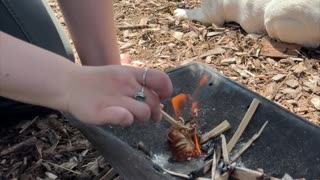 She Built This Fire with Just a Knife & Ferro Rod🔥 (No Matches)