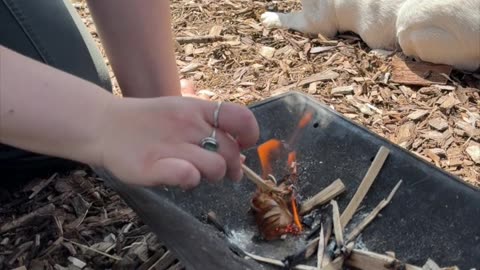 She Built This Fire with Just a Knife & Ferro Rod🔥 (No Matches)