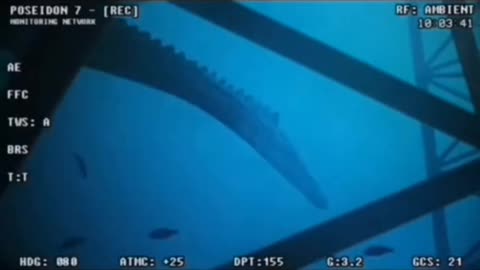 😱👻 Wait For The End... Ouija, Jinn, Aliens, Poltergeist, UFO | TheHauntingHour